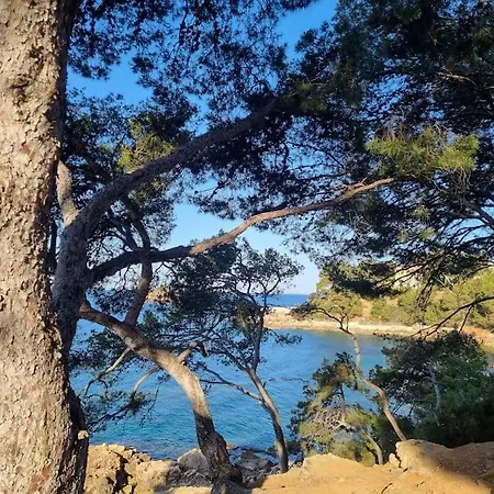Studio De Vacances Avec Piscines Bandol